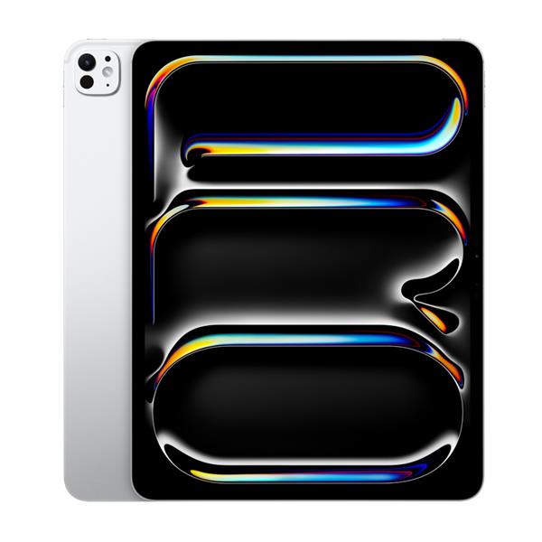 iPad Pro 13" WiFi 256GB